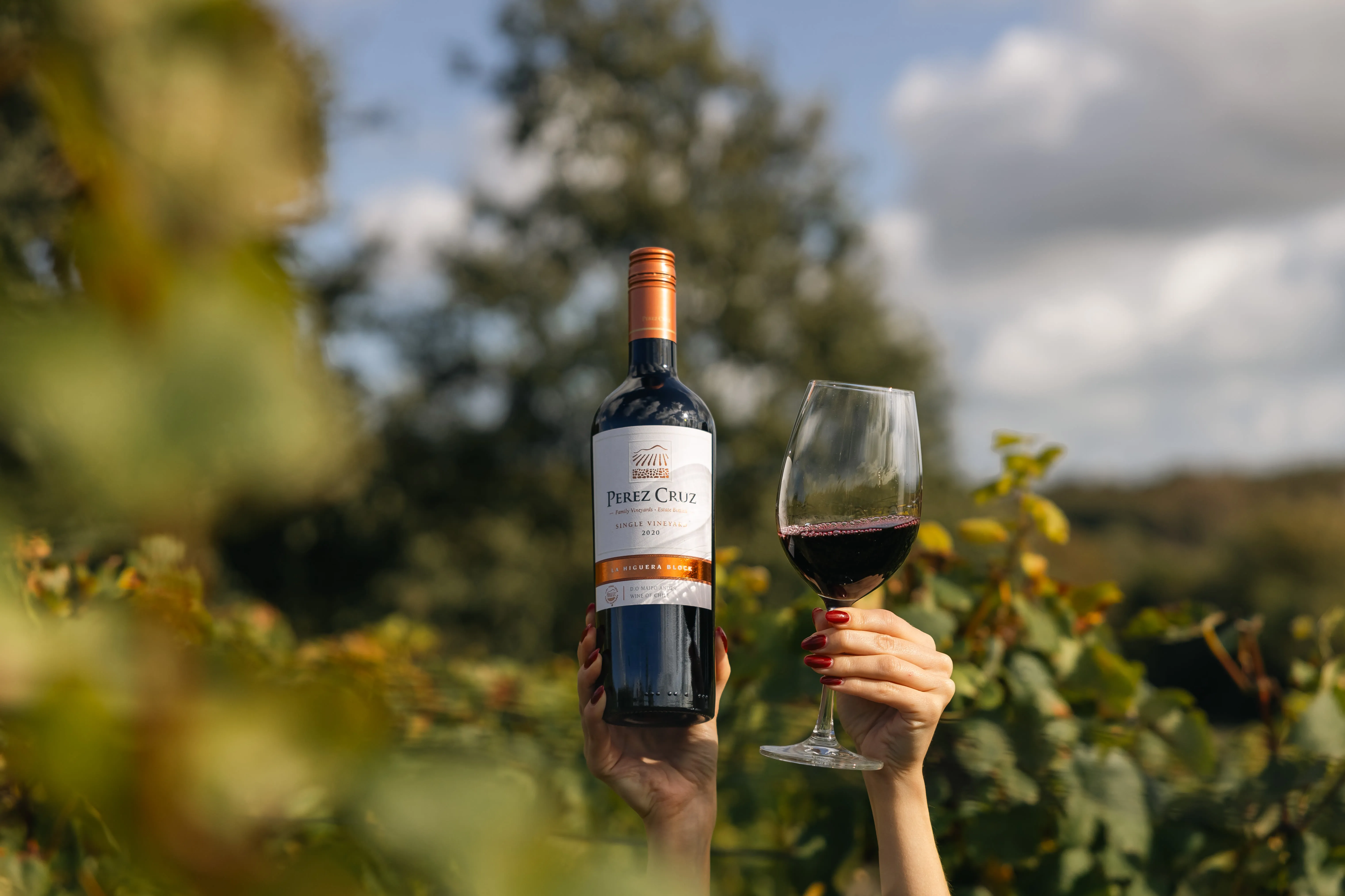 Wine, Dining & Hosting